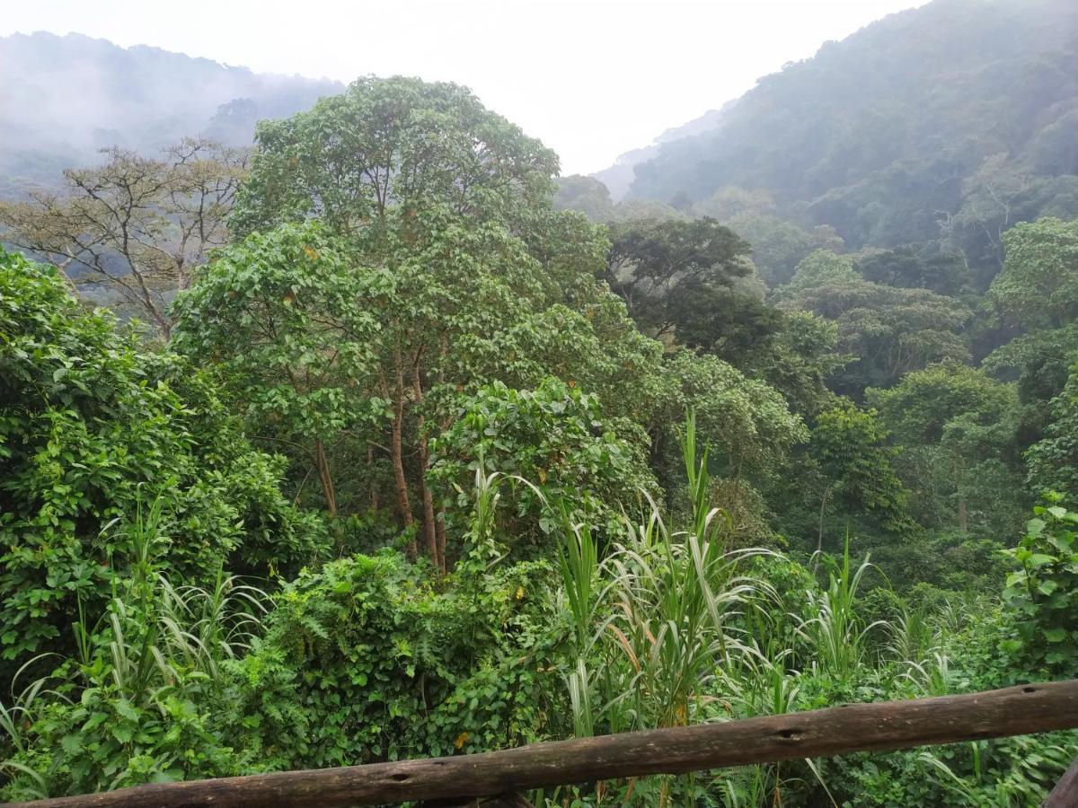 Gorilla Hills Eco-Lodge Kisoro Exterior photo