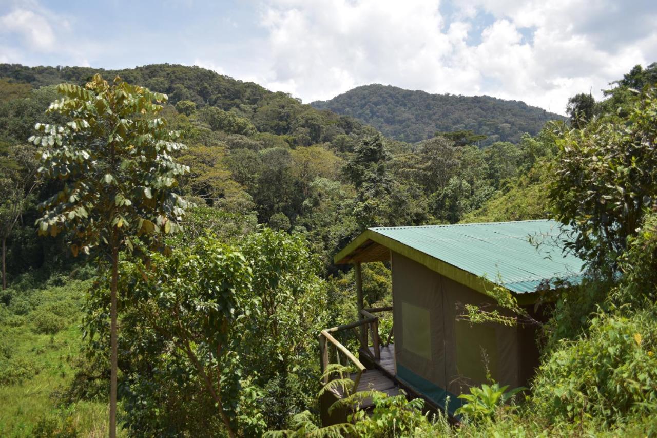 Gorilla Hills Eco-Lodge Kisoro Exterior photo
